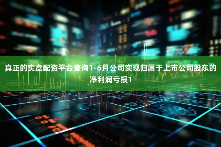 真正的实盘配资平台查询1-6月公司实现归属于上市公司股东的净利润亏损1