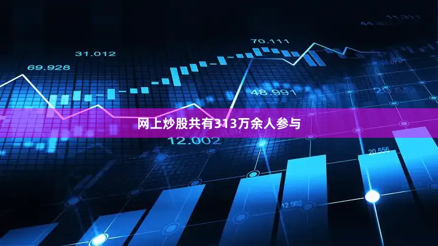 网上炒股共有313万余人参与
