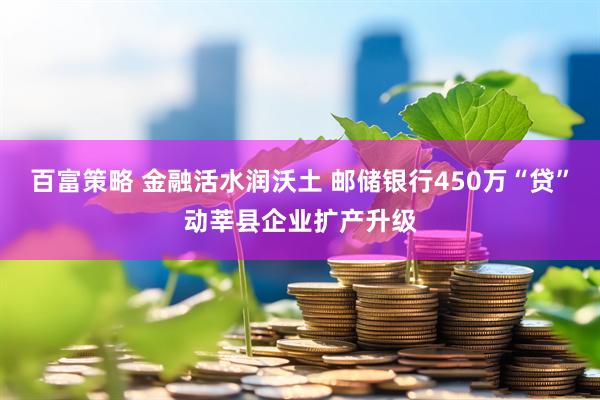 百富策略 金融活水润沃土 邮储银行450万“贷”动莘县企业扩产升级