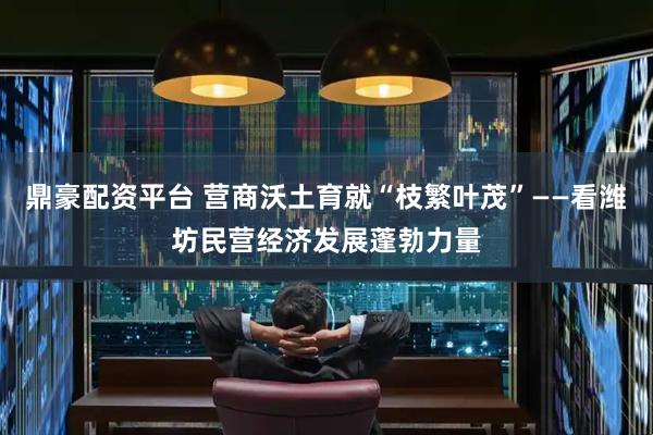 鼎豪配资平台 营商沃土育就“枝繁叶茂”——看潍坊民营经济发展蓬勃力量