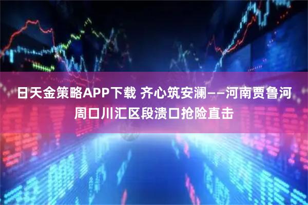 日天金策略APP下载 齐心筑安澜——河南贾鲁河周口川汇区段溃口抢险直击